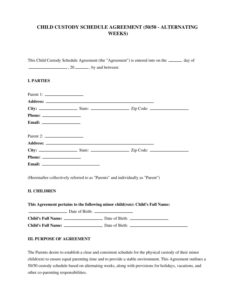 50 50 Custody Schedule Template Preview