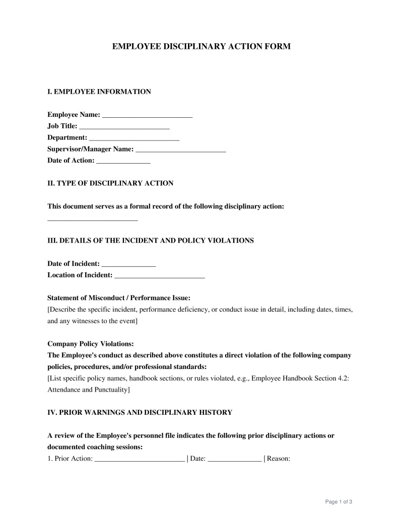 Disciplinary Action Form Preview
