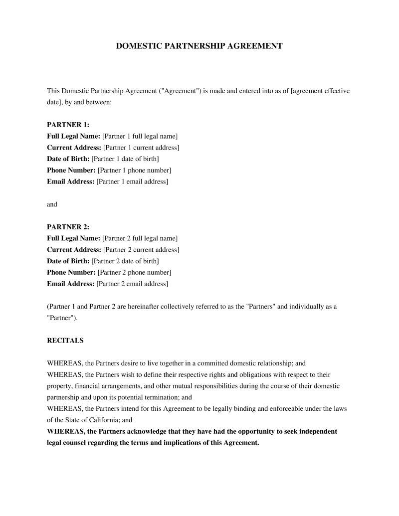 Domestic Partnership Agreement Preview