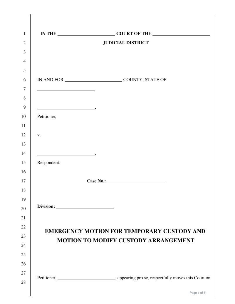Emergency Motion for Custody Preview