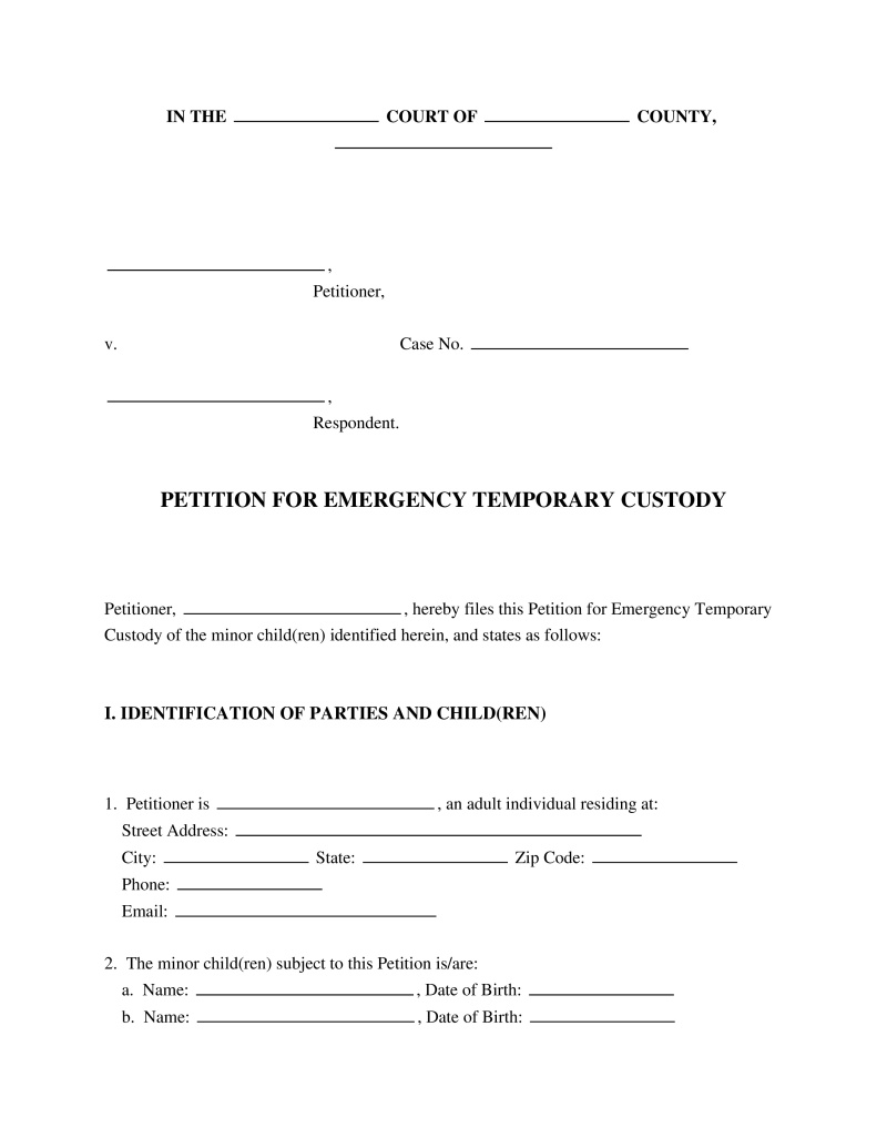 Emergency Petition for Custody Preview