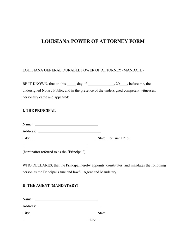 Louisiana Power of Attorney Form Preview