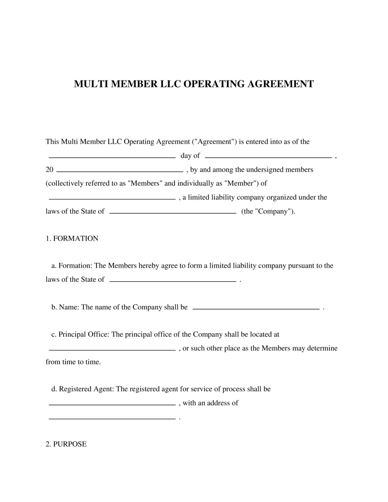 Multi Member LLC Operating Agreement