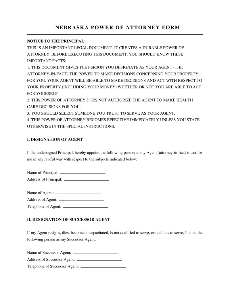 Nebraska Power of Attorney Form Preview