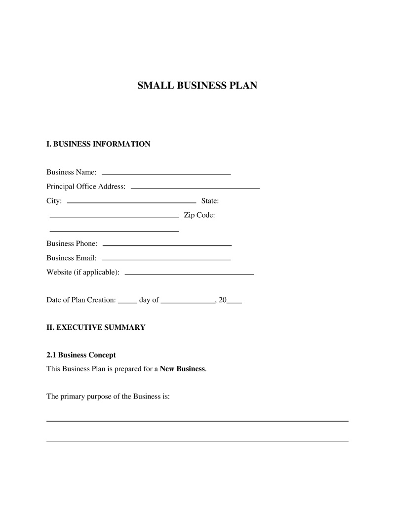 Small Business Plan Preview