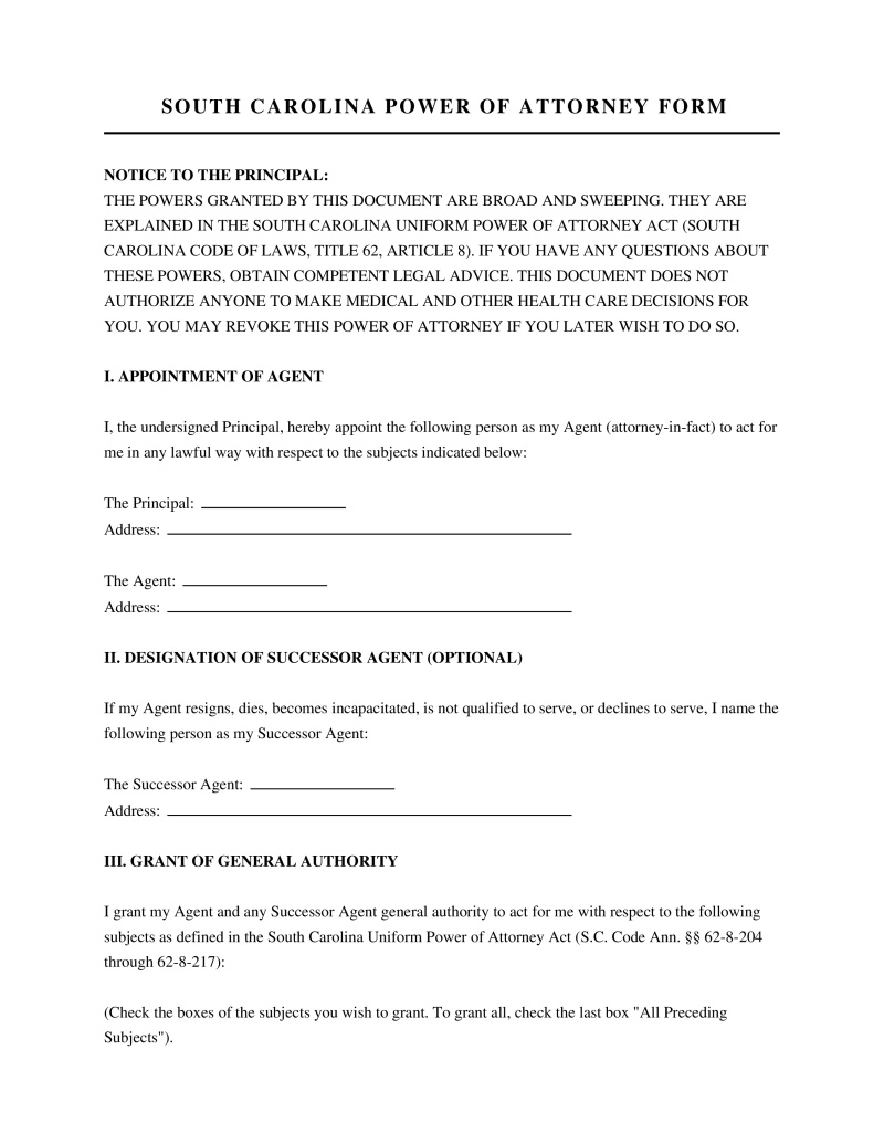 South Carolina Power of Attorney Form Preview
